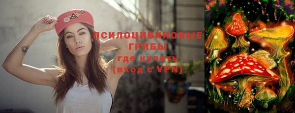МДПВ Нефтегорск