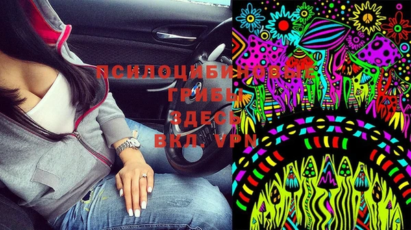 PSILOCYBIN Нея
