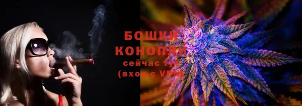 МДПВ Нефтегорск