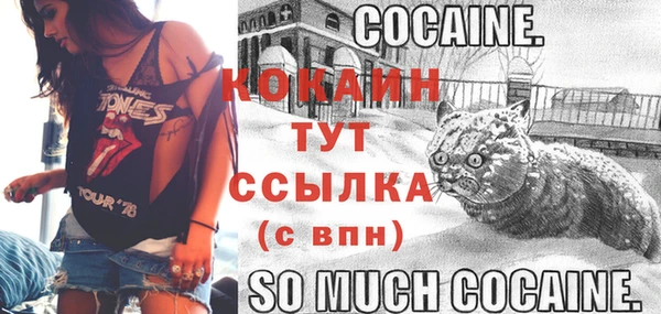 МДПВ Нефтегорск