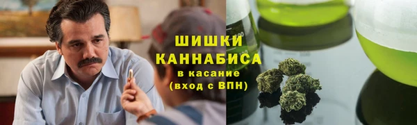 PSILOCYBIN Нея