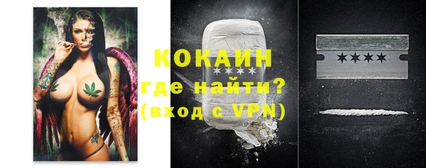 МДПВ Нефтегорск
