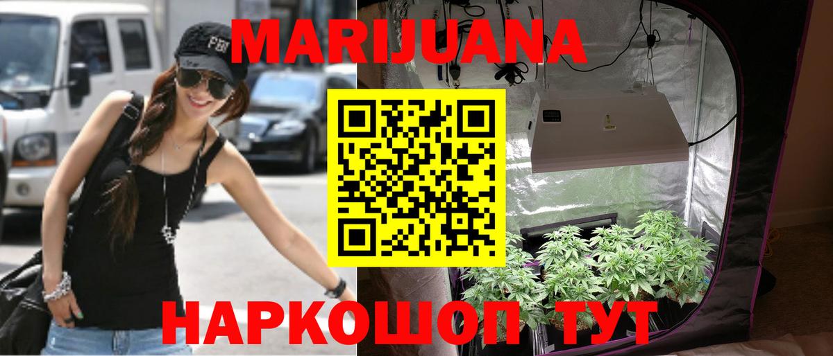 Бошки марихуана VHQ  МАРИХУАНА марихуана  Конопля семена  Вход с VPN  Прокопьевск 